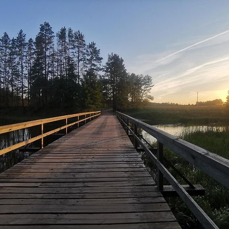 Drewutnia Nad Hancza Sarnetki Bagian luar foto