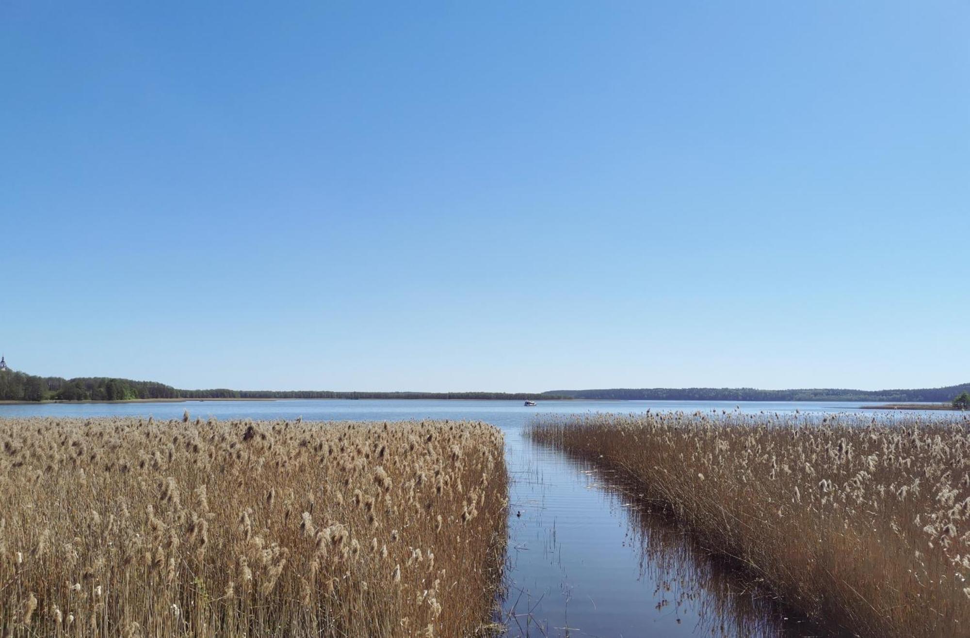 Drewutnia Nad Hancza Sarnetki Bagian luar foto